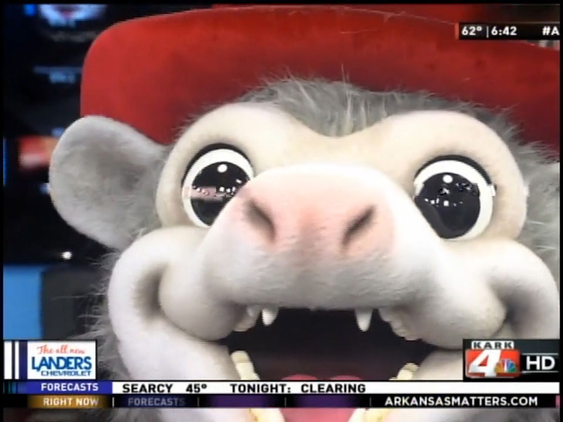 Illustration for article titled Arkansas Minor League Team Introduces Redneck Possum Mascot
